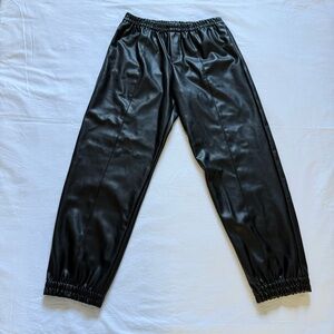 Zara Women’s Jogger Size S Black Eco Leather Urban Pants
Chic/Casual